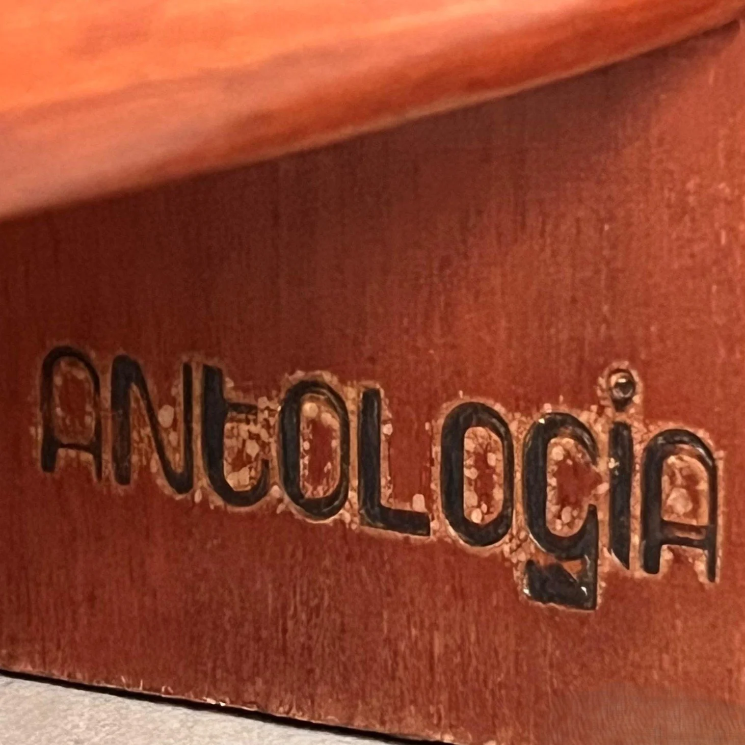 WhatsApp Image 2026-01-23 at 11.40.39 (8).jpeg