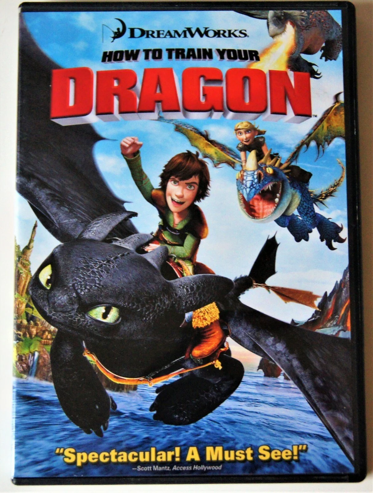 How to Train Your Dragon