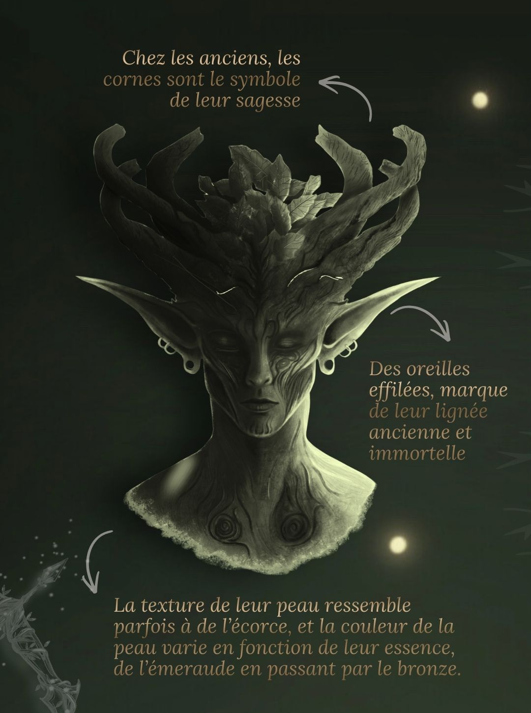 Qui sont les sylvestres dans Ordalie ? 🍃🏹🧝‍♂️