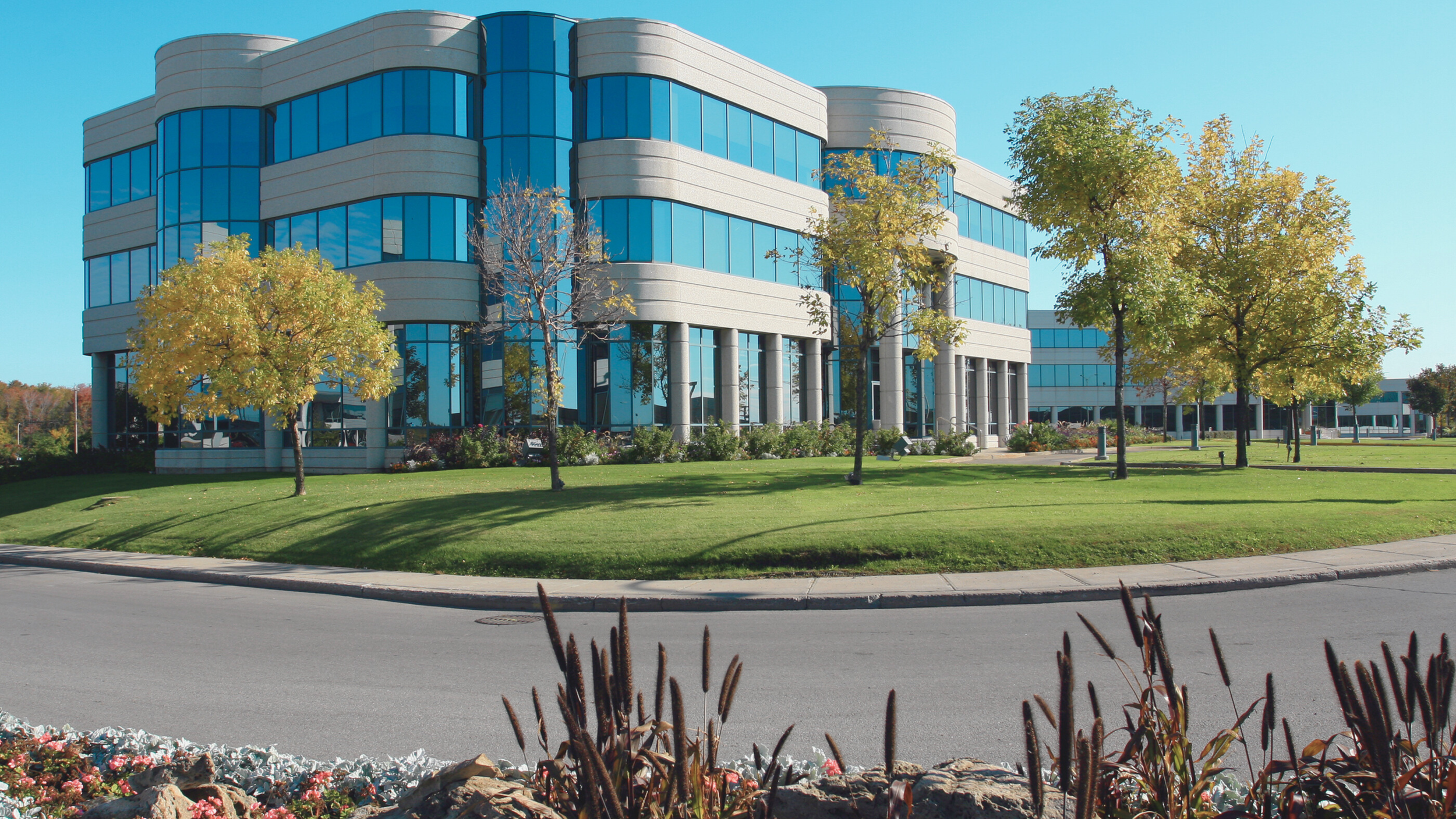 Modern office building with large blue-tinted windows, surrounded by green grass and trees with fall foliage, under a clear blue sky.