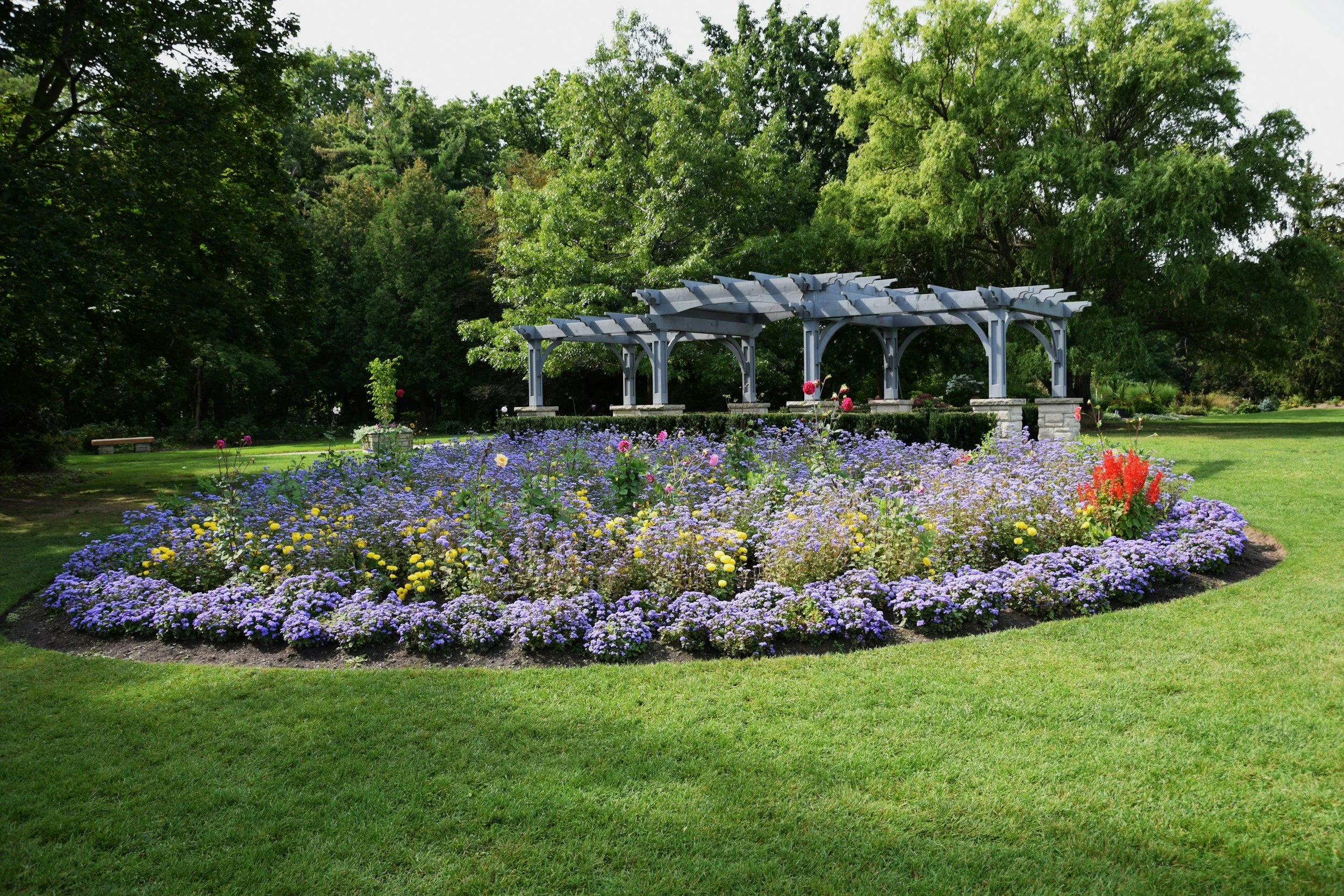 A garden with a wooden pergola surrounded by colorful flowers, green grass, and tall trees in the background.
