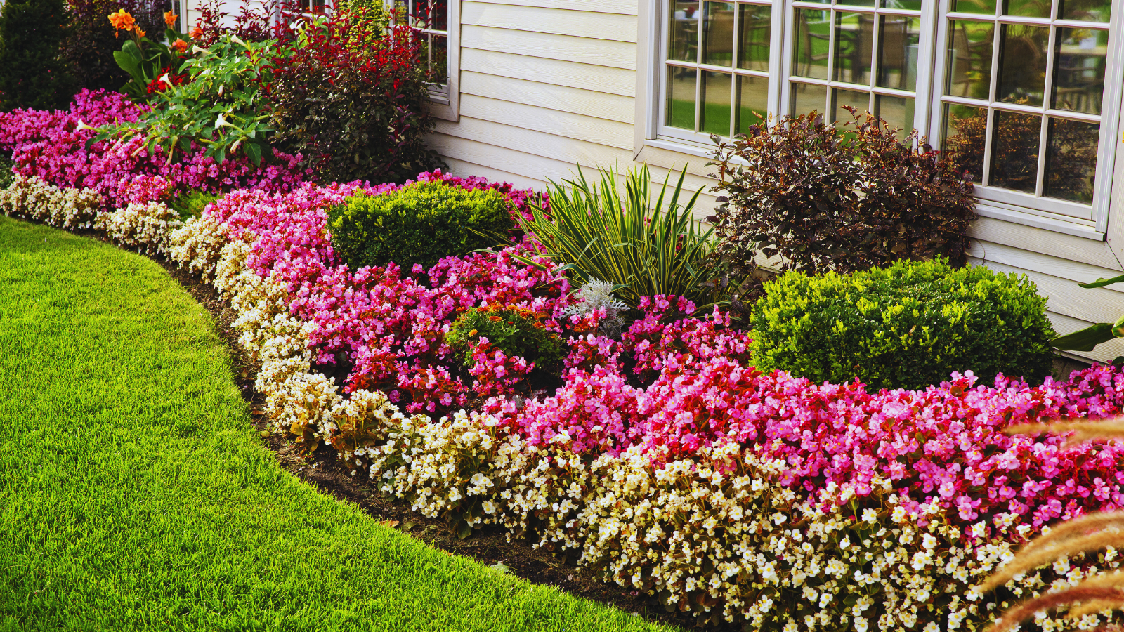 Colorful flower bed with pink, white, and purple flowers planted along a house wall, with a green lawn in the foreground.