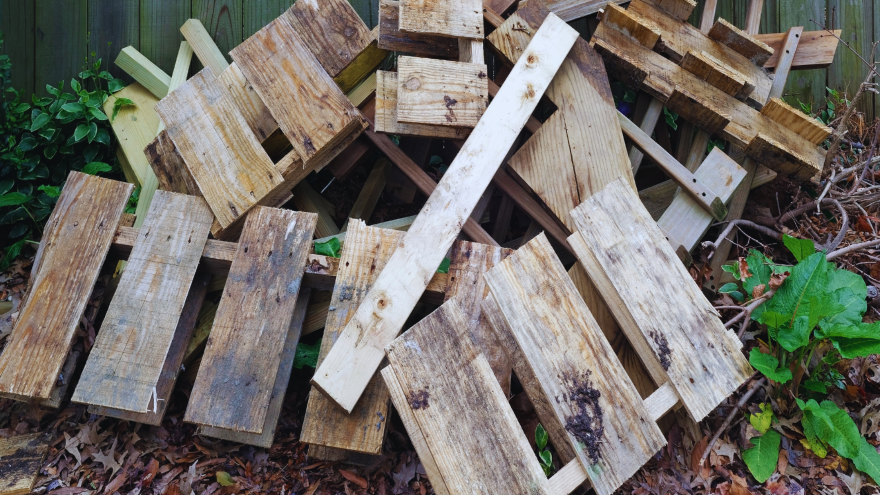 Piles of weathered wooden planks and scrap wood stacked outdoors near a green plant and a wooden fence.