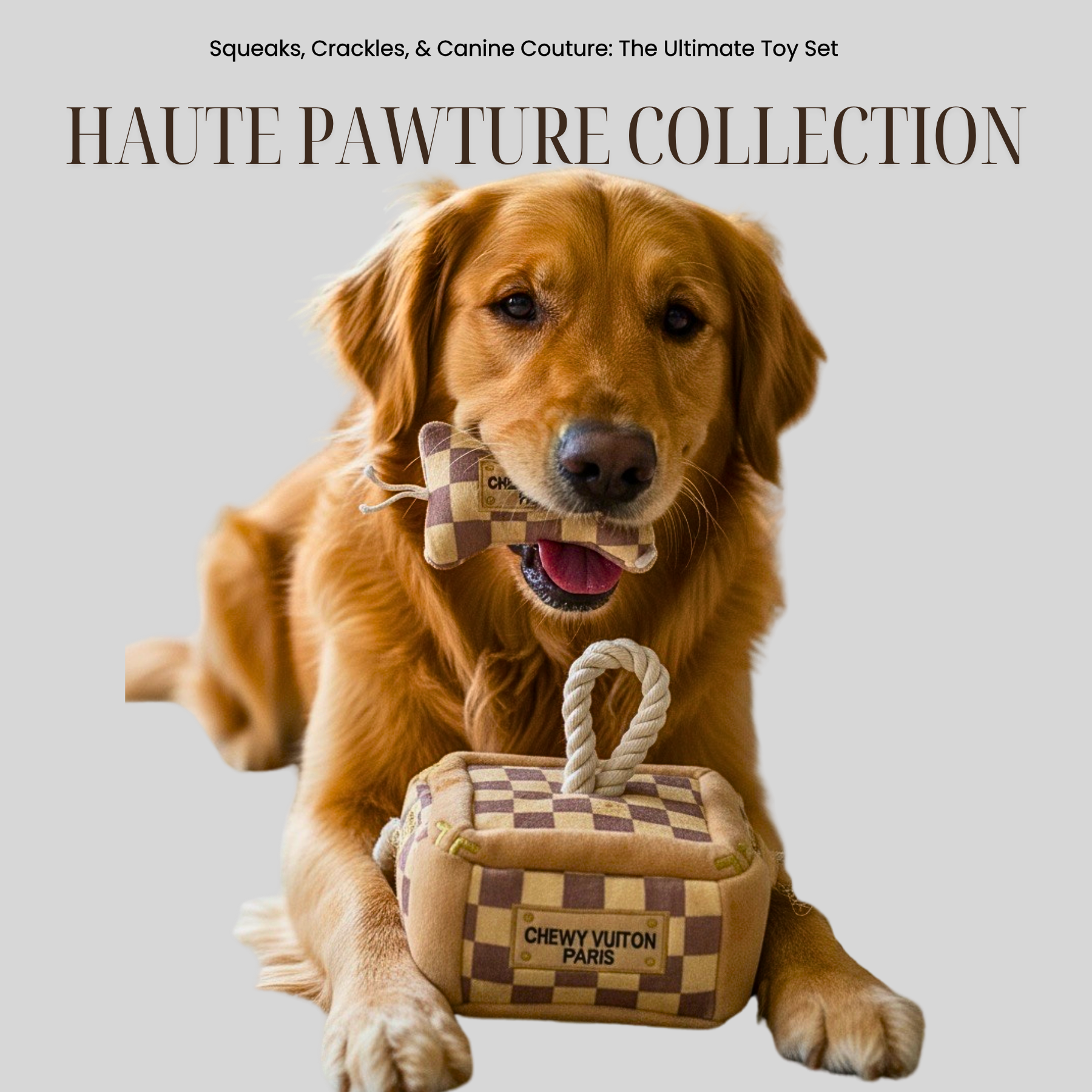 Haute Pawture Collection Ad-111125 (1).png