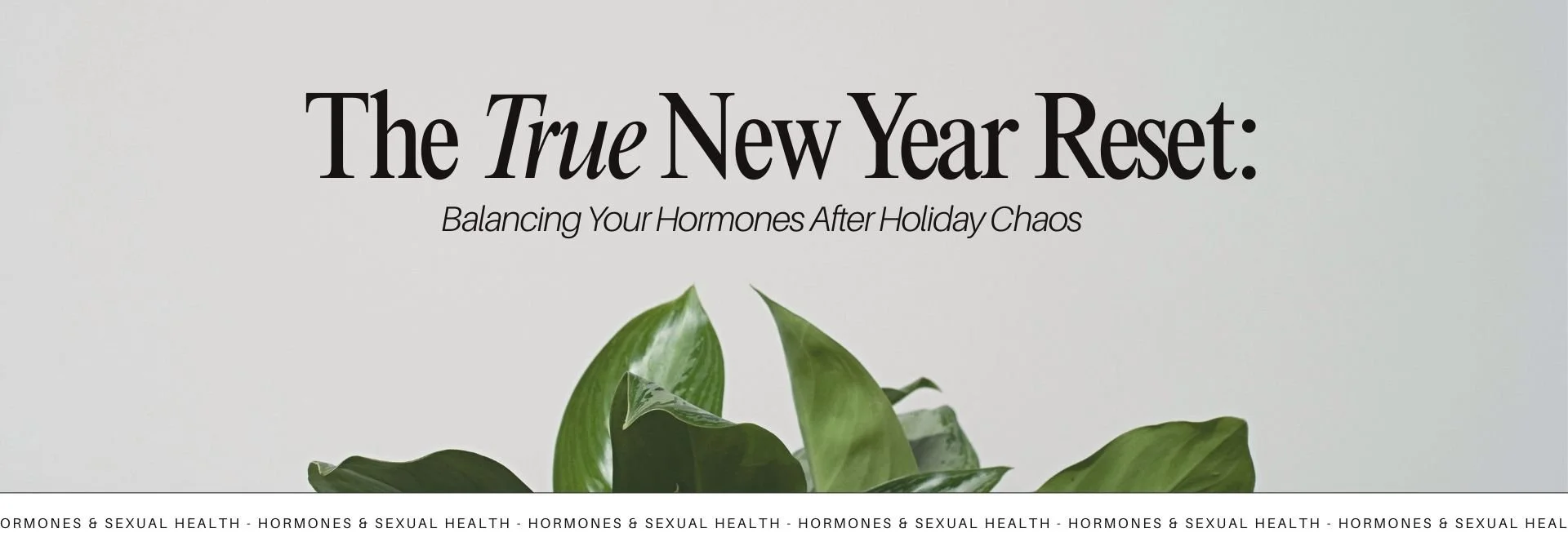 The True New Year Reset: Balancing Hormones After the Holidays