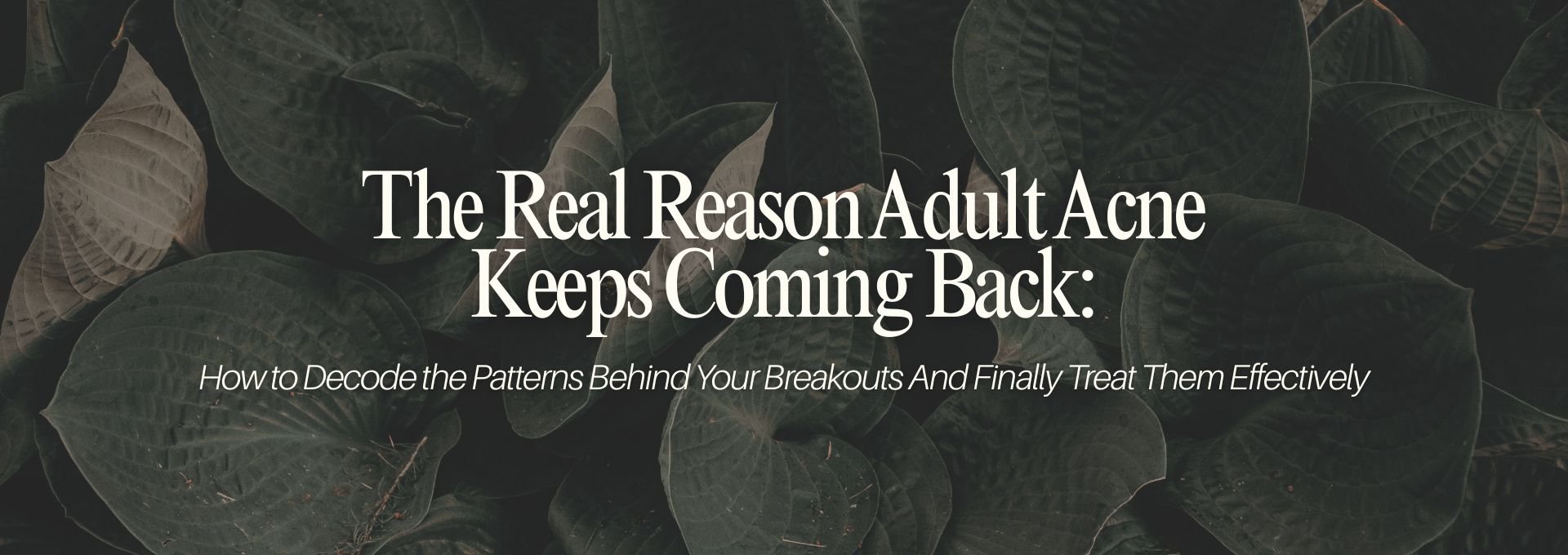 The Real Reason Adult Acne Keeps Coming Back: How to Decode the Patterns Behind Your Breakouts and Finally Treat Them Effectively