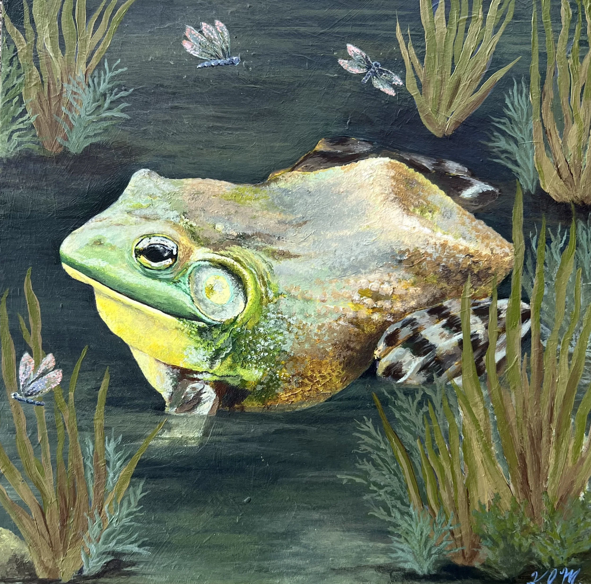 American bullfrog painting acrylic on wood panel