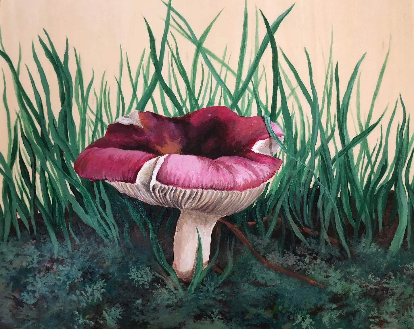 Russula Mushroom .jpg