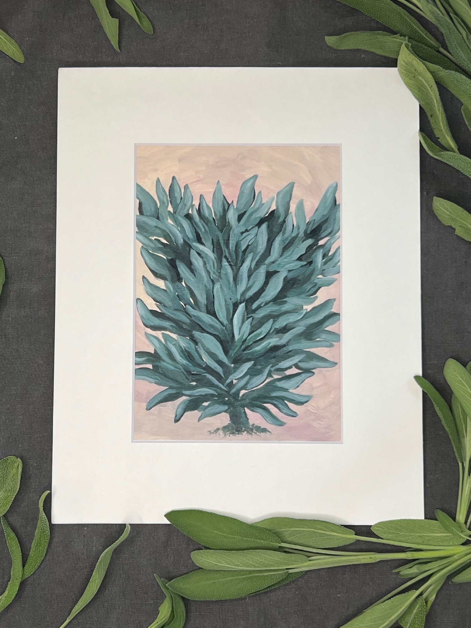 Sage