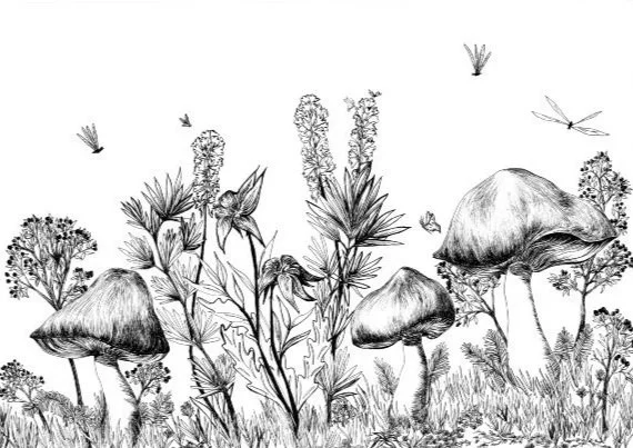 mushrooms, flowers, bugs, earth spirits