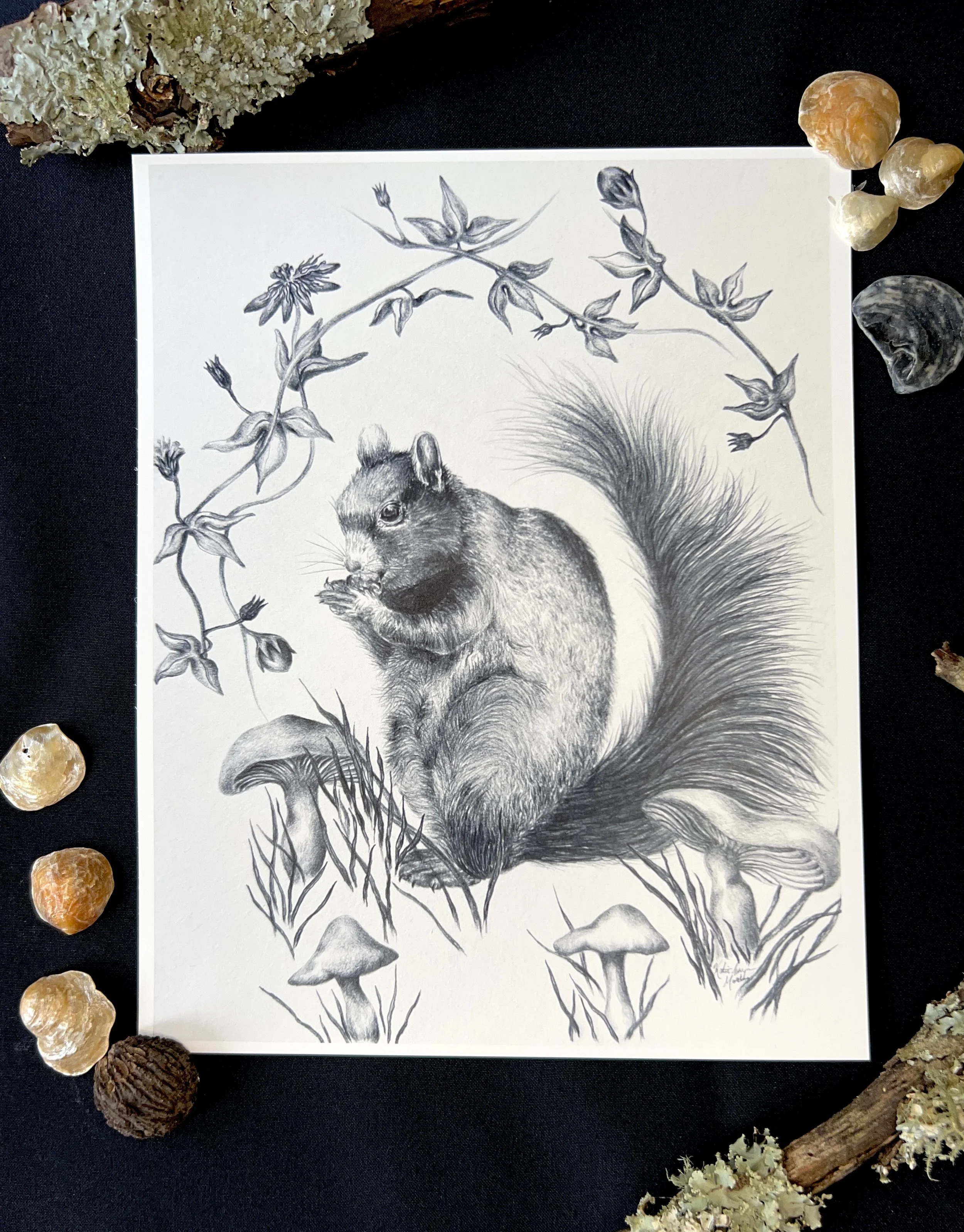 A Fox Squirrel and Passion Flower