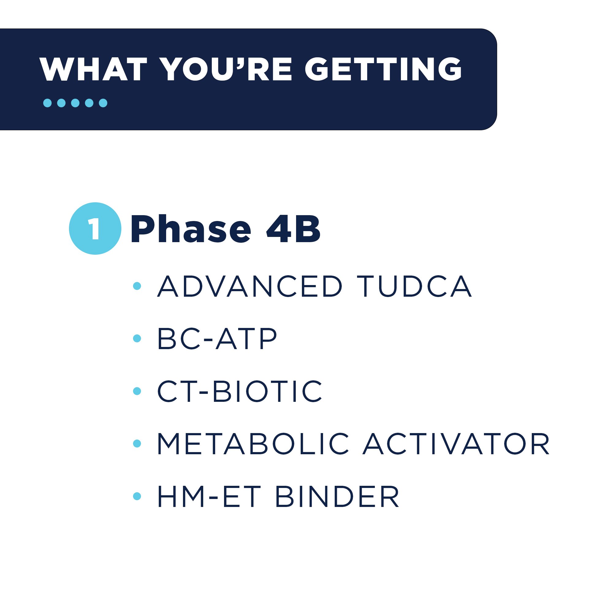 Phase 4B Highlights-7.jpg
