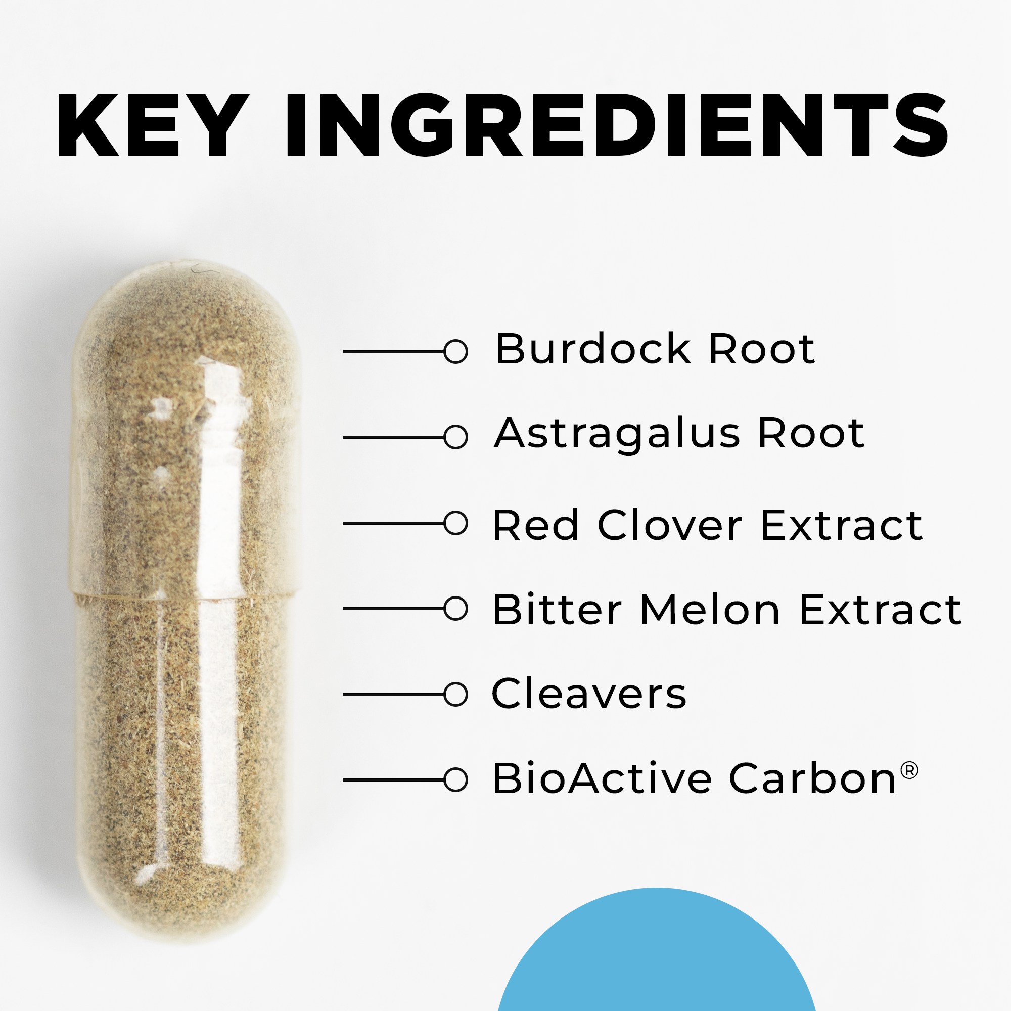 LymphActiv - Key Ingredients.png