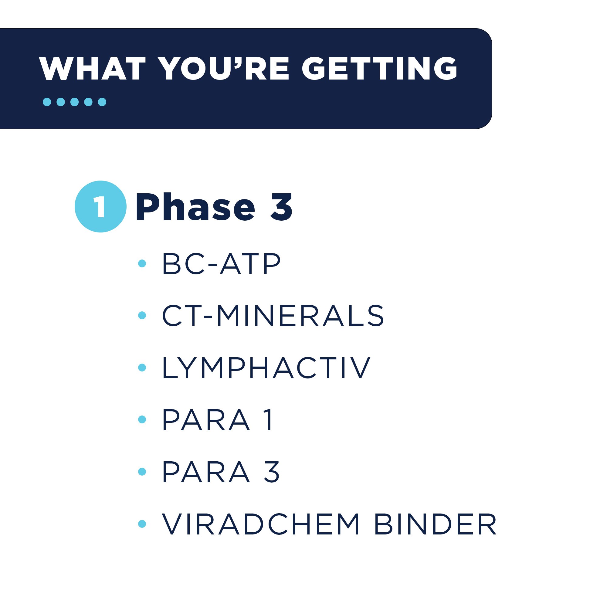 Whats Included.jpg