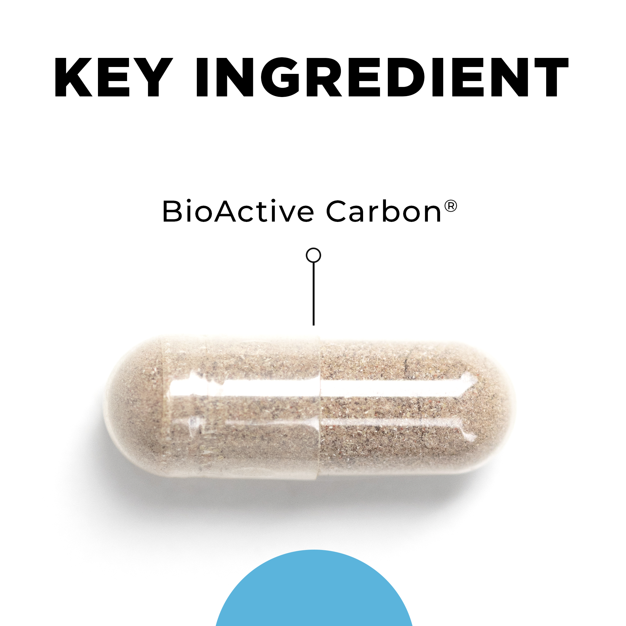 BC-ATP Key Ingredients.png