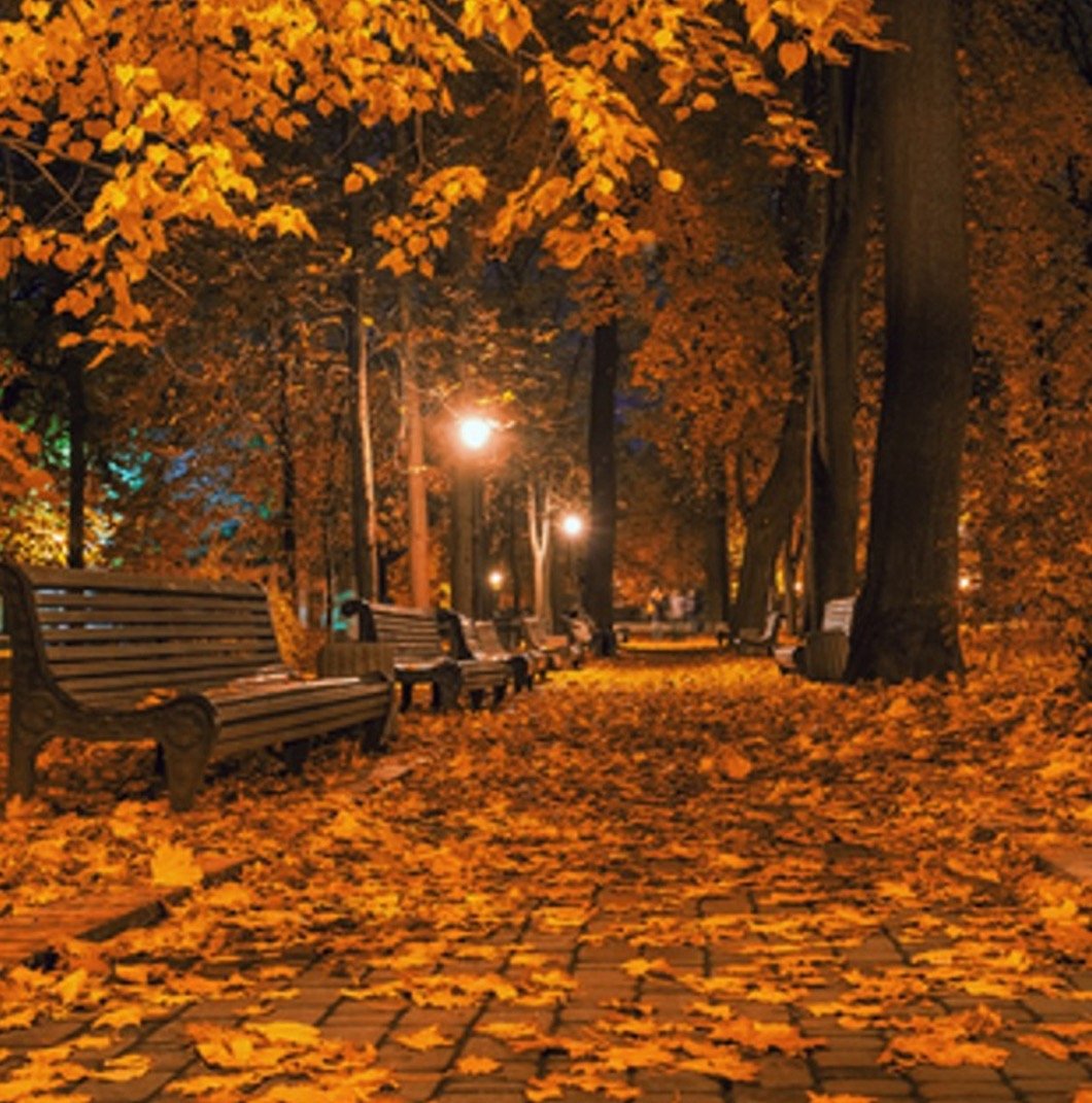 Autumn Night Wax Melt
