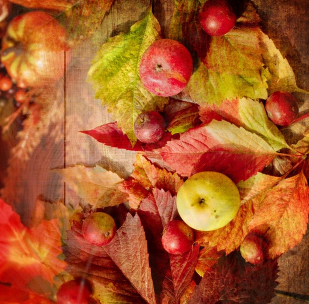 Fall Magic Scented Candle