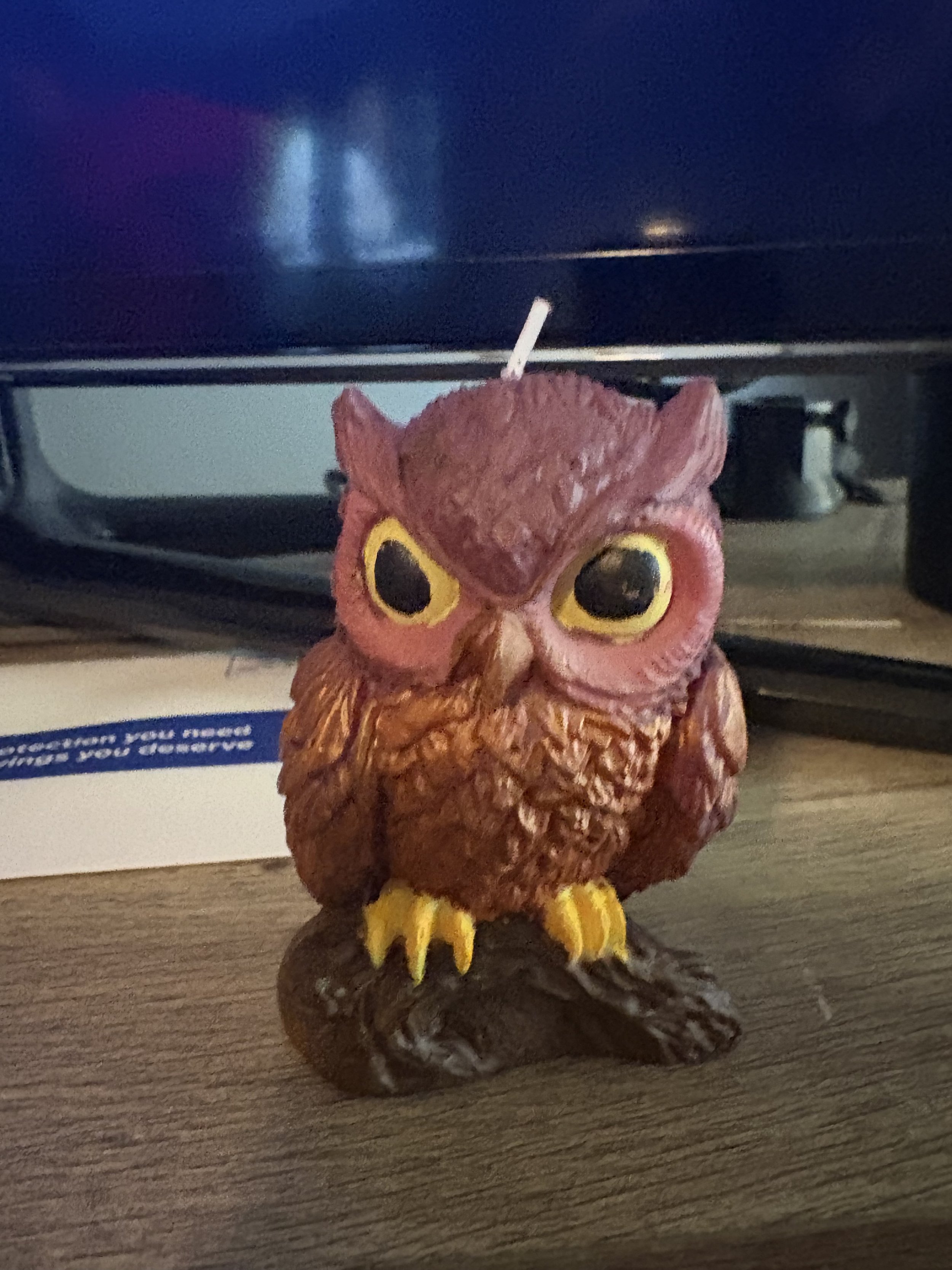 Owl Candle Brown