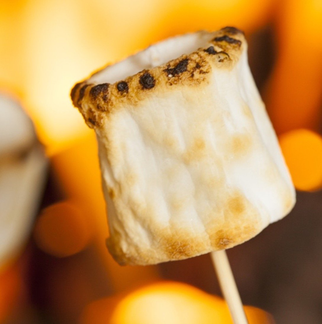 Fire Roasted Marshmallow Wax Melt