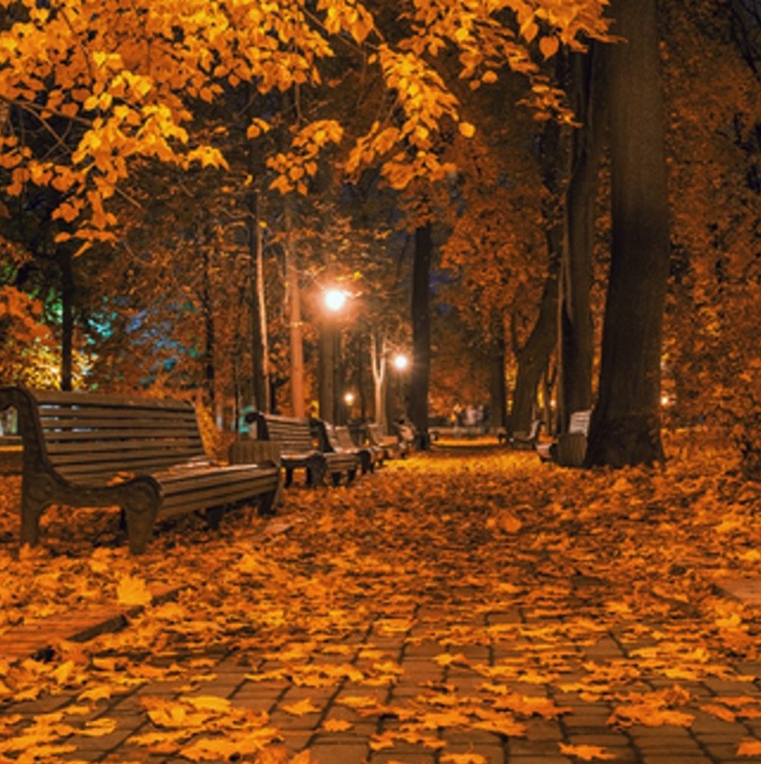 Autumn Night Scented Candle