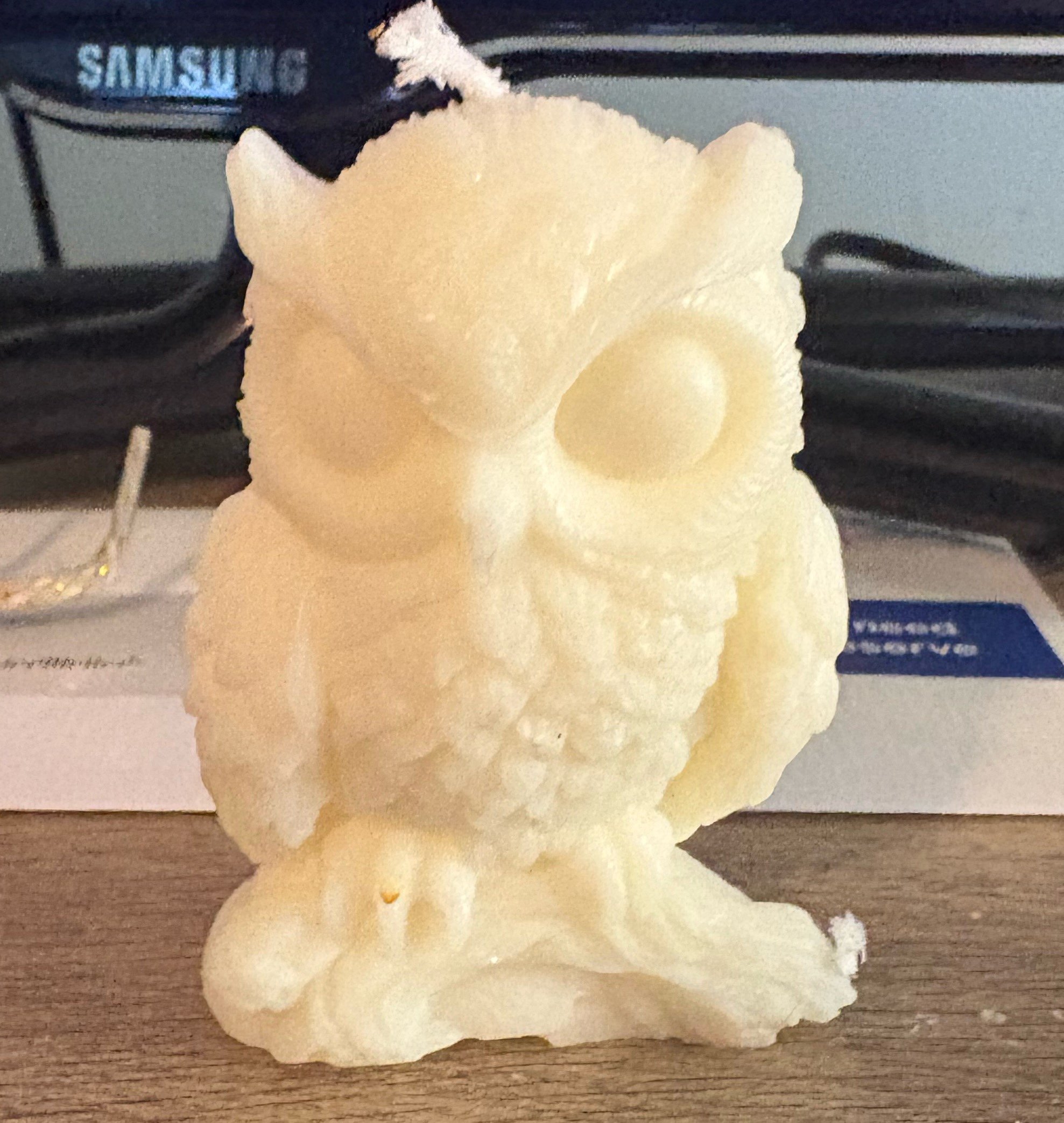 Owl Candle