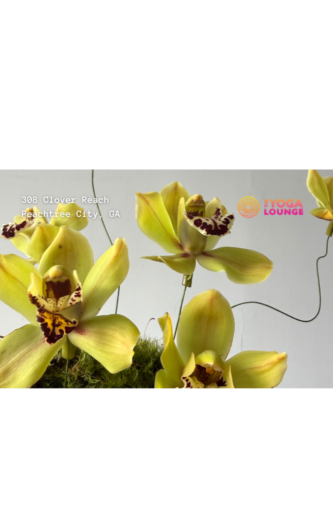 The Bloom Room - Flower Arranging Workshop