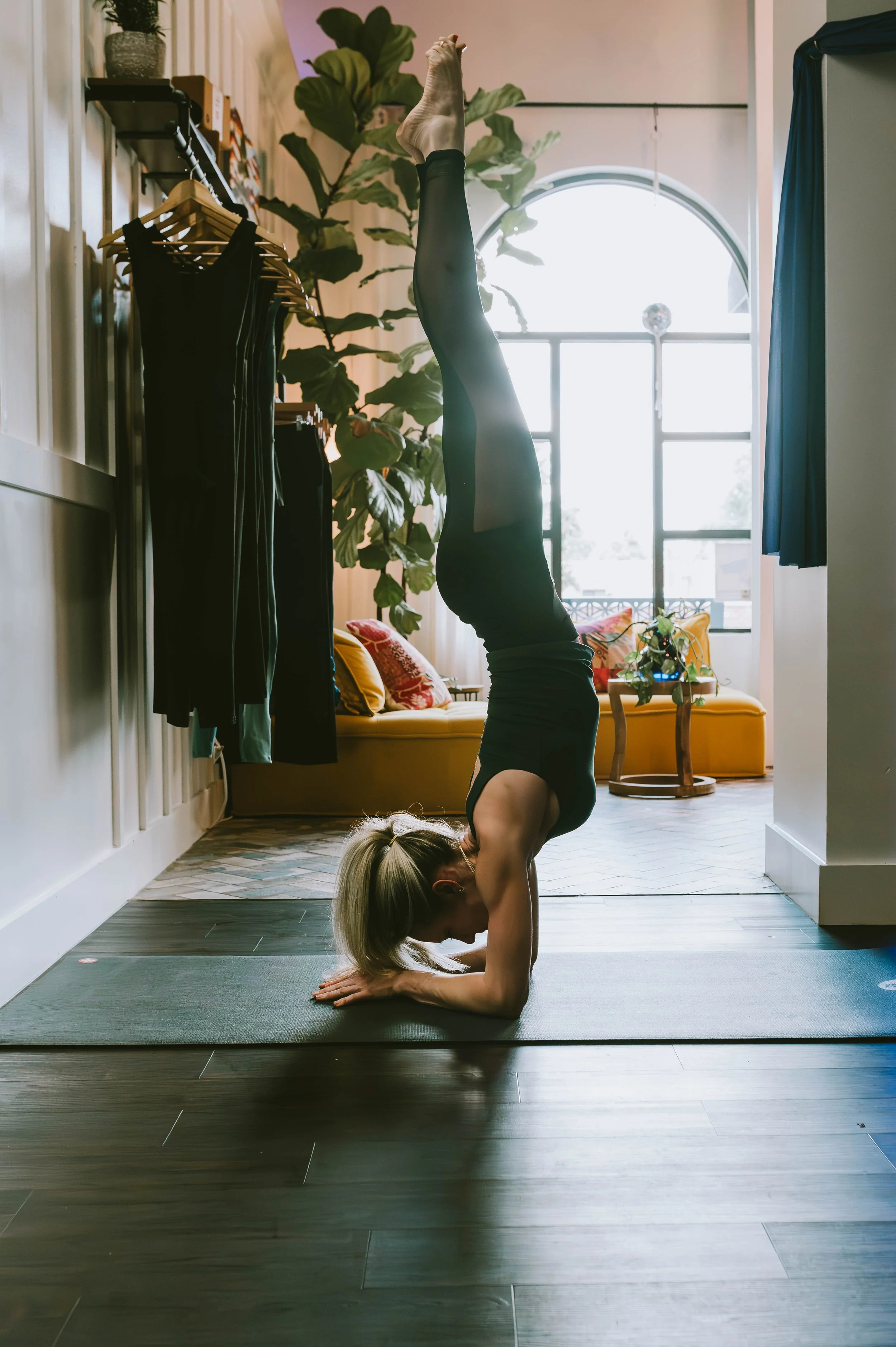 Inversions Workshop