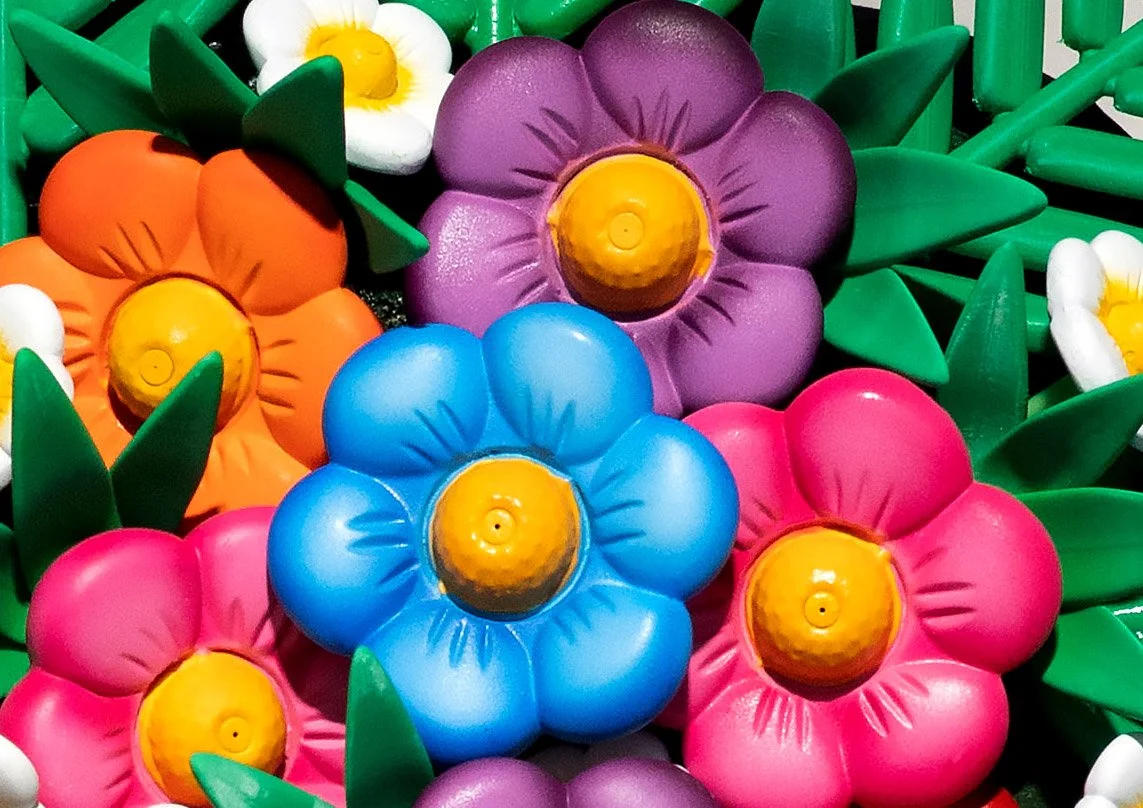 Flower Studies
