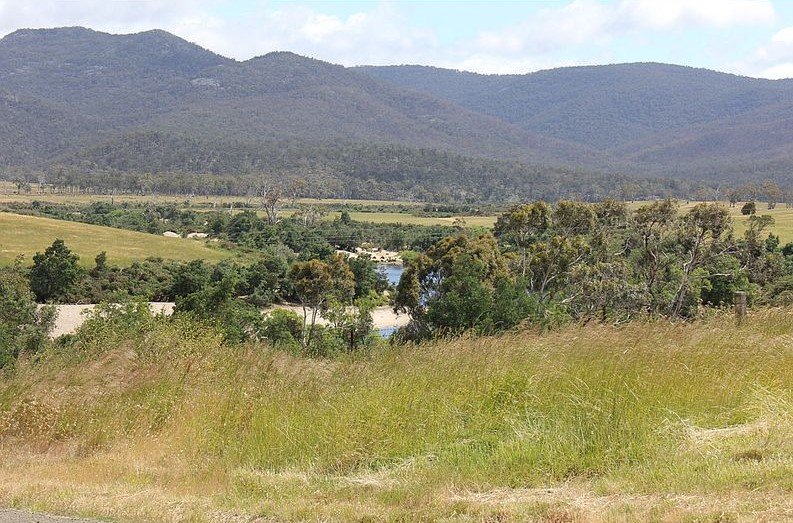 Avoca