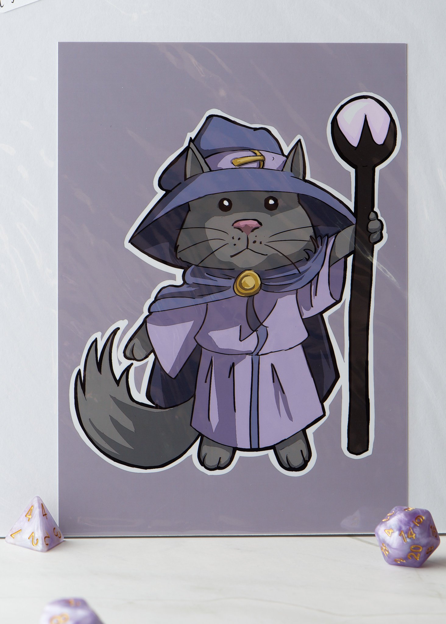 Cat 13.jpg