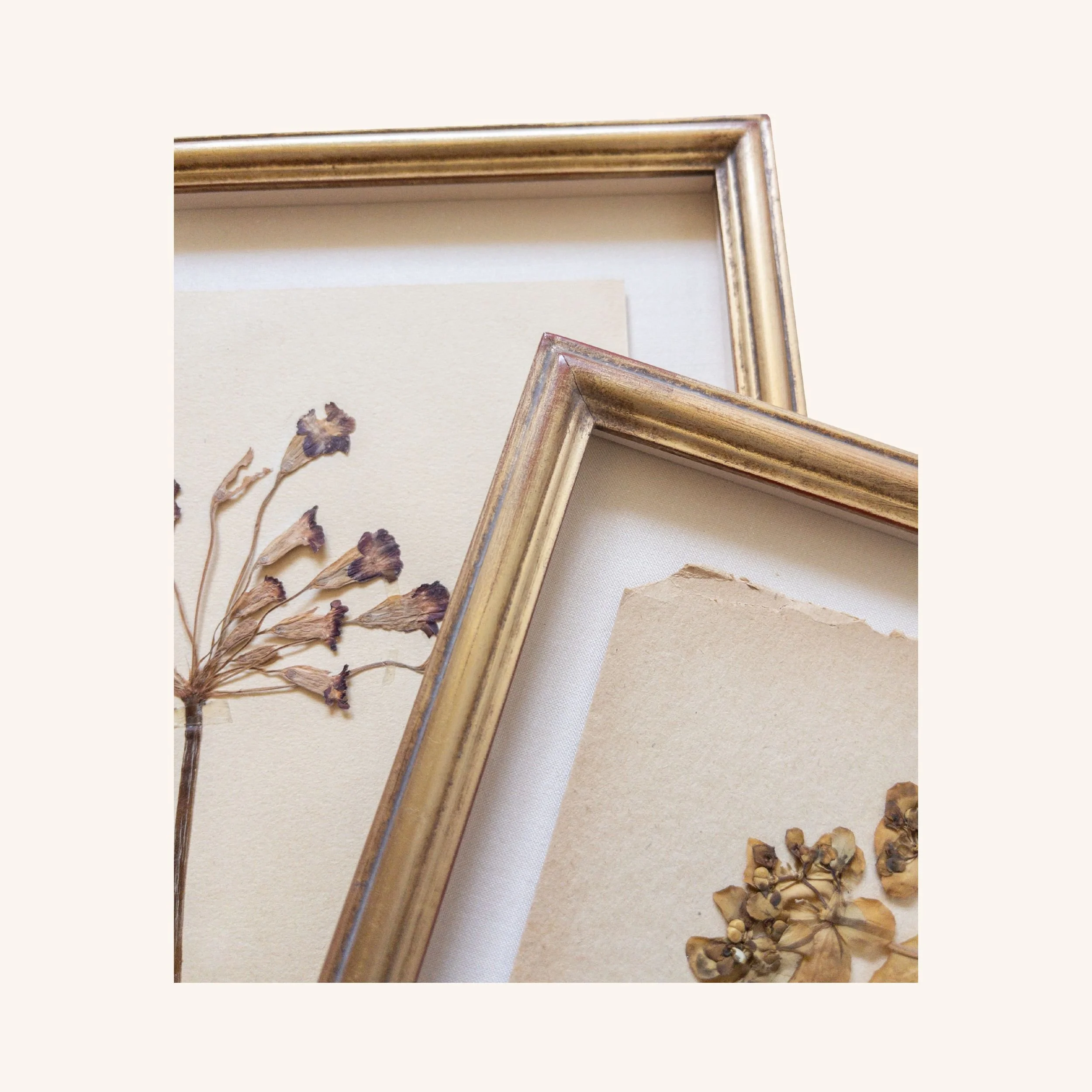 Framing Option A: Hand gilt gold custom frame with cream silk mat exclusive to Ashley Holmes Design