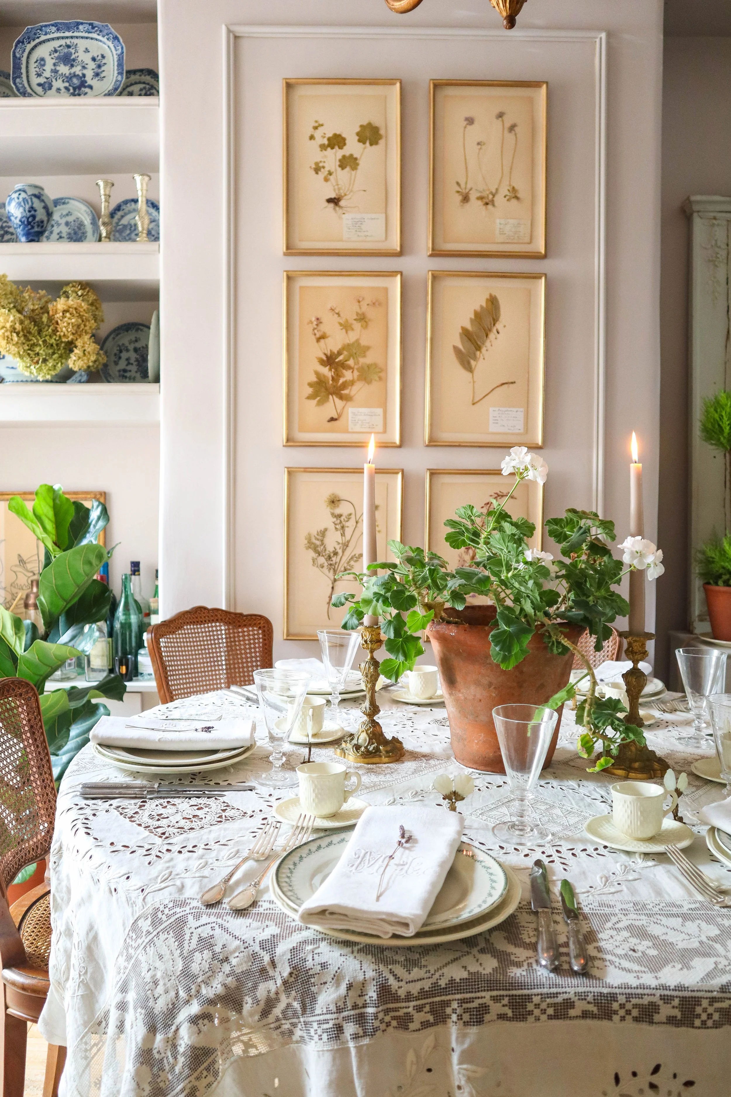 /framed-herbarium-art