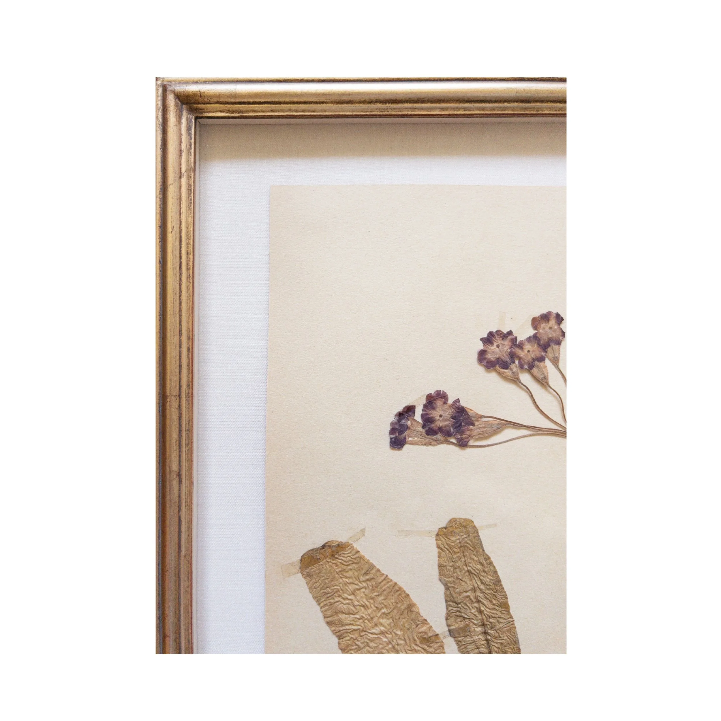 Ashley Holmes Design I Pressed Flowers Framed Art .jpg