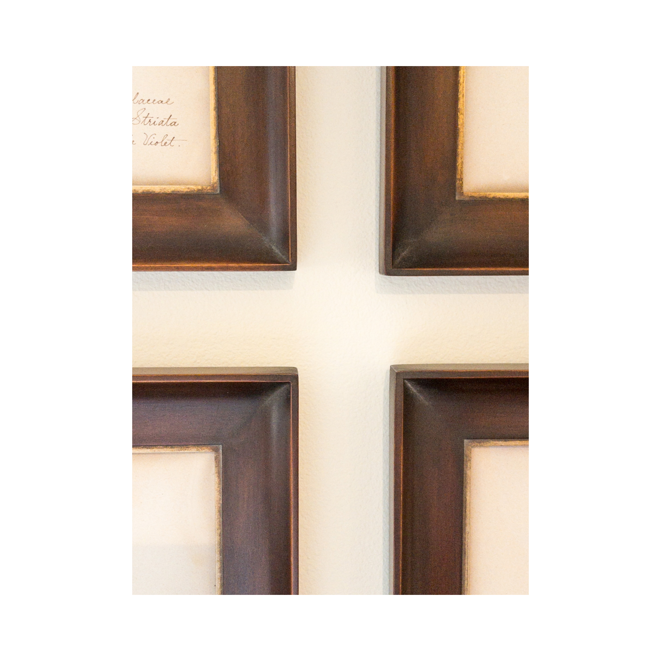 Ashley Holmes Design I Herbarium framed Art .png