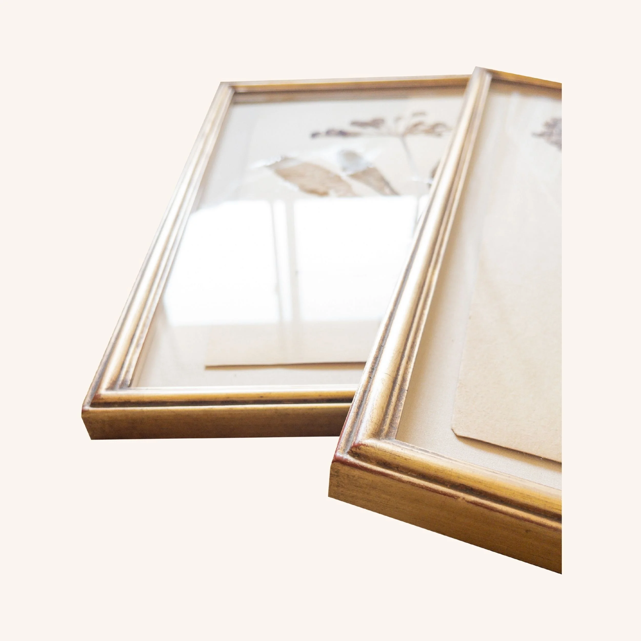 Ashley Holmes Design I Herbarium pressed flower art.jpg