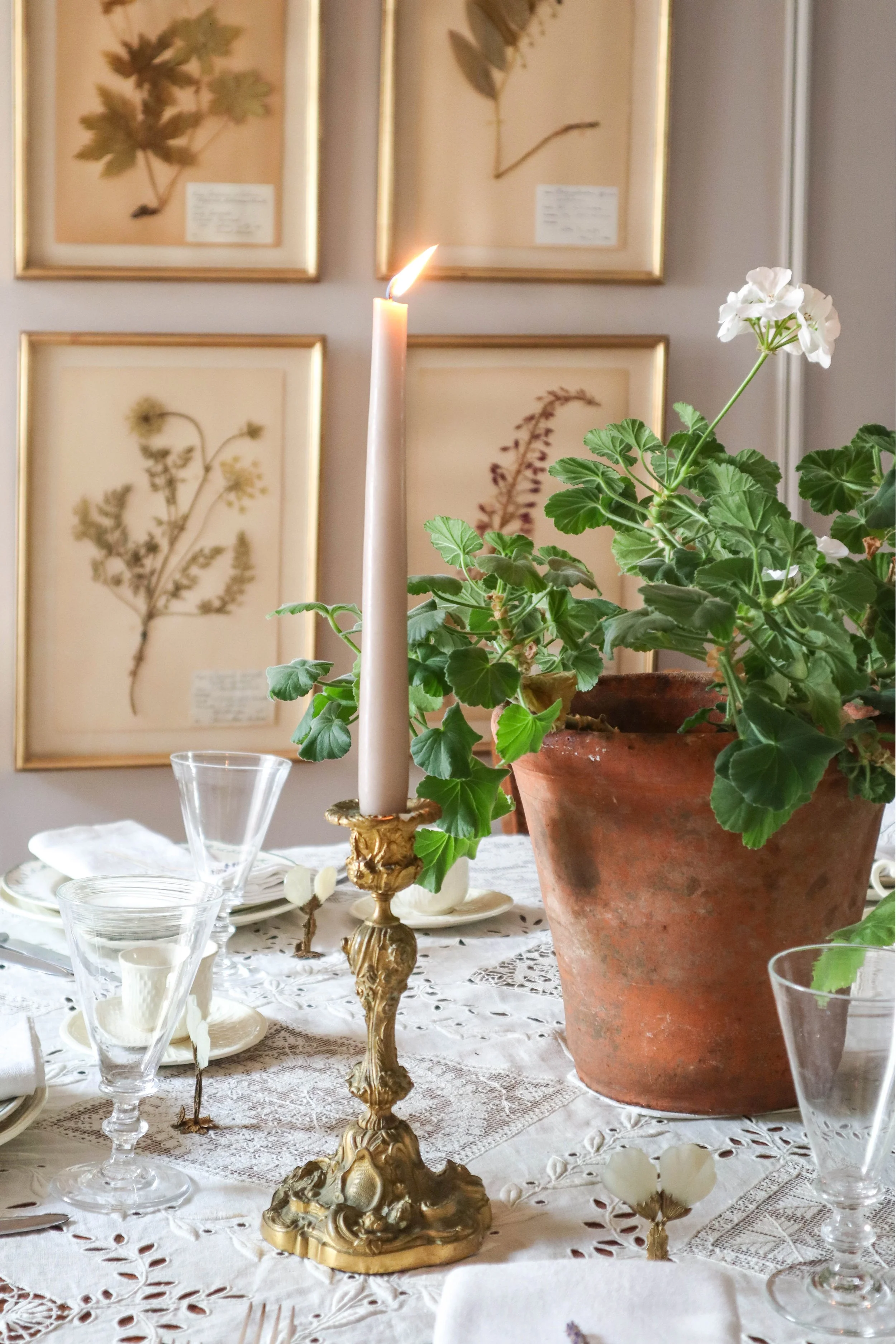 Authentic pressed flowers for gallery wall or home decor