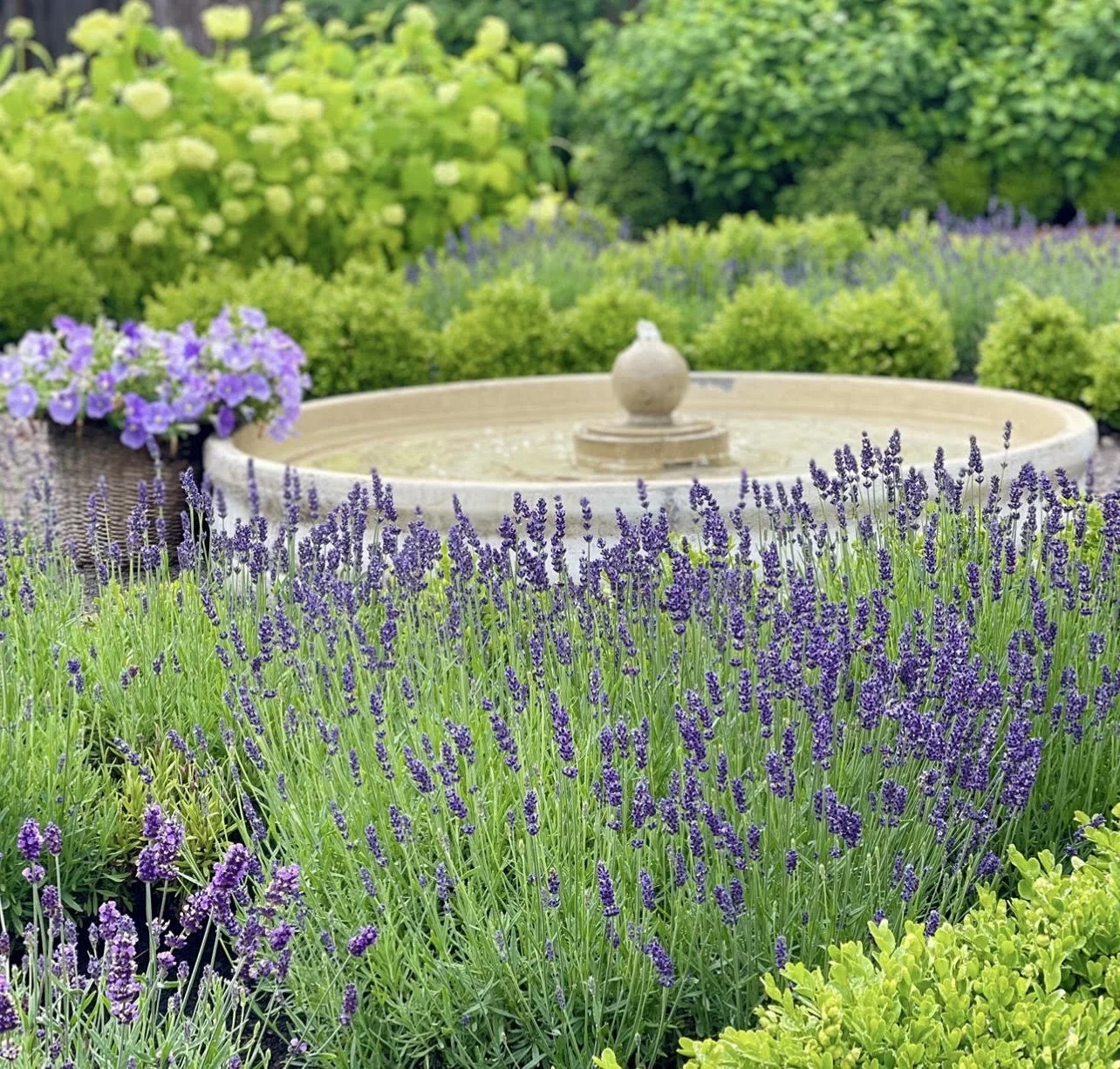 Ashley Holmes Design French Fountain