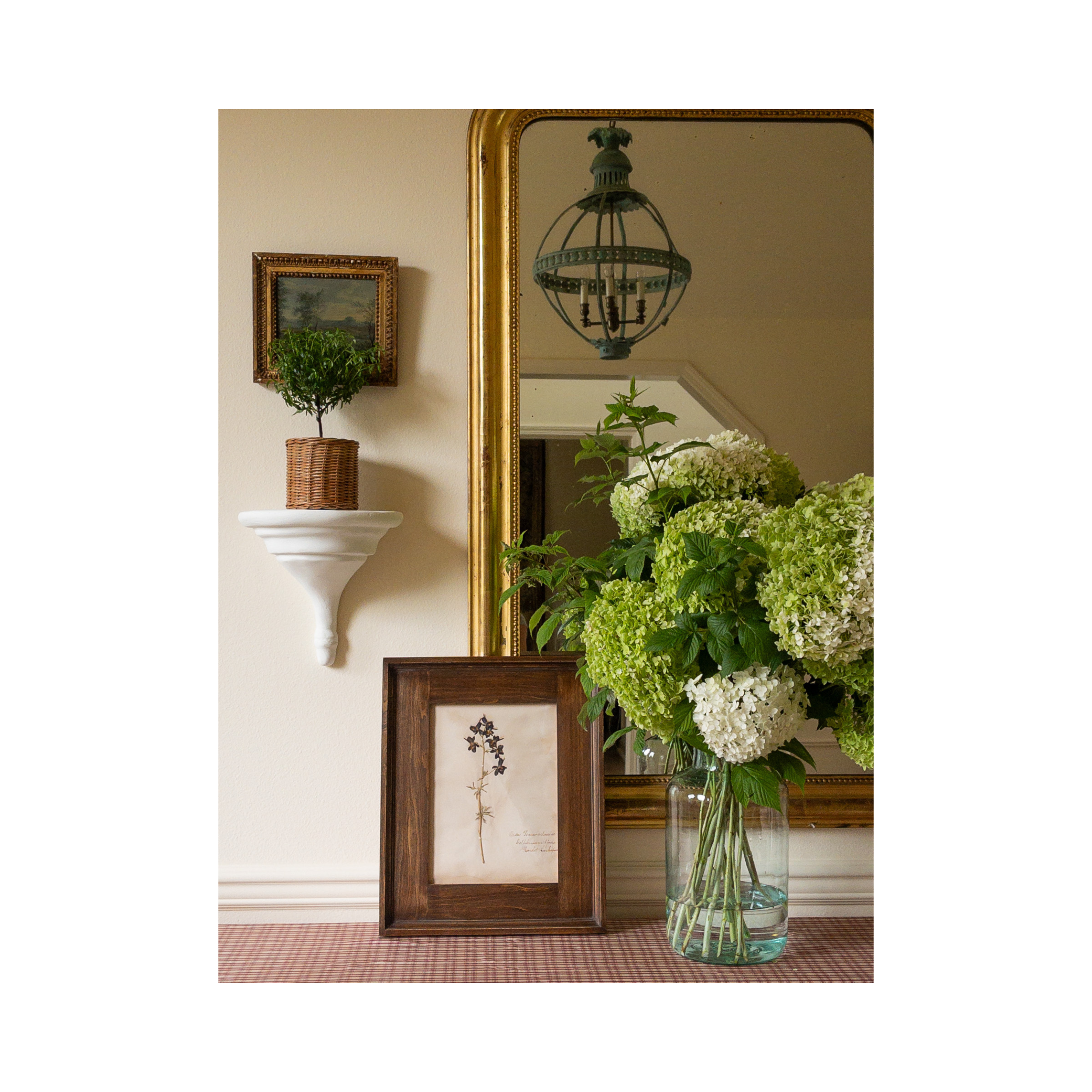 Ashley Holmes Design I Delphinium Pressed Flower Art I Herbarium.png