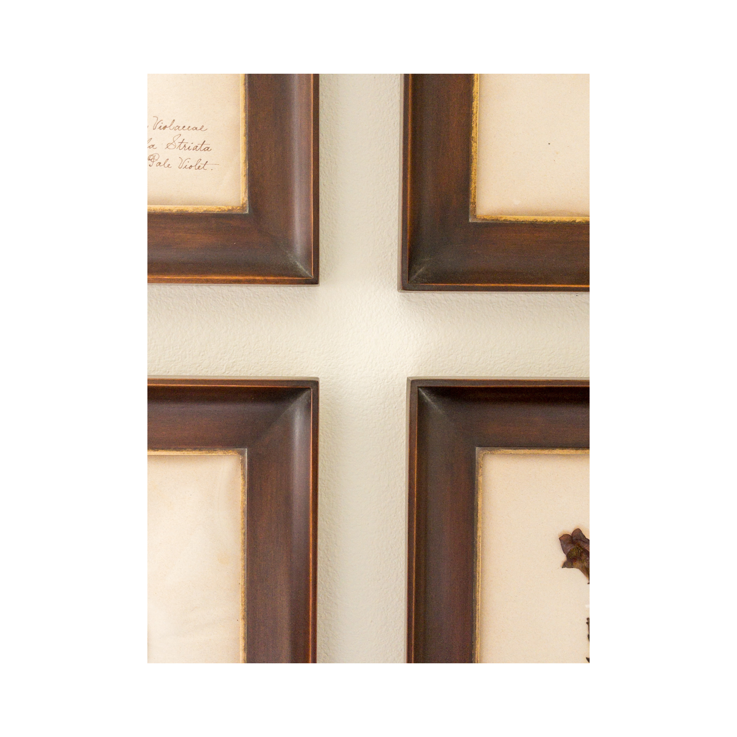 Vintage Herbarium I Framed pressed flower art .png