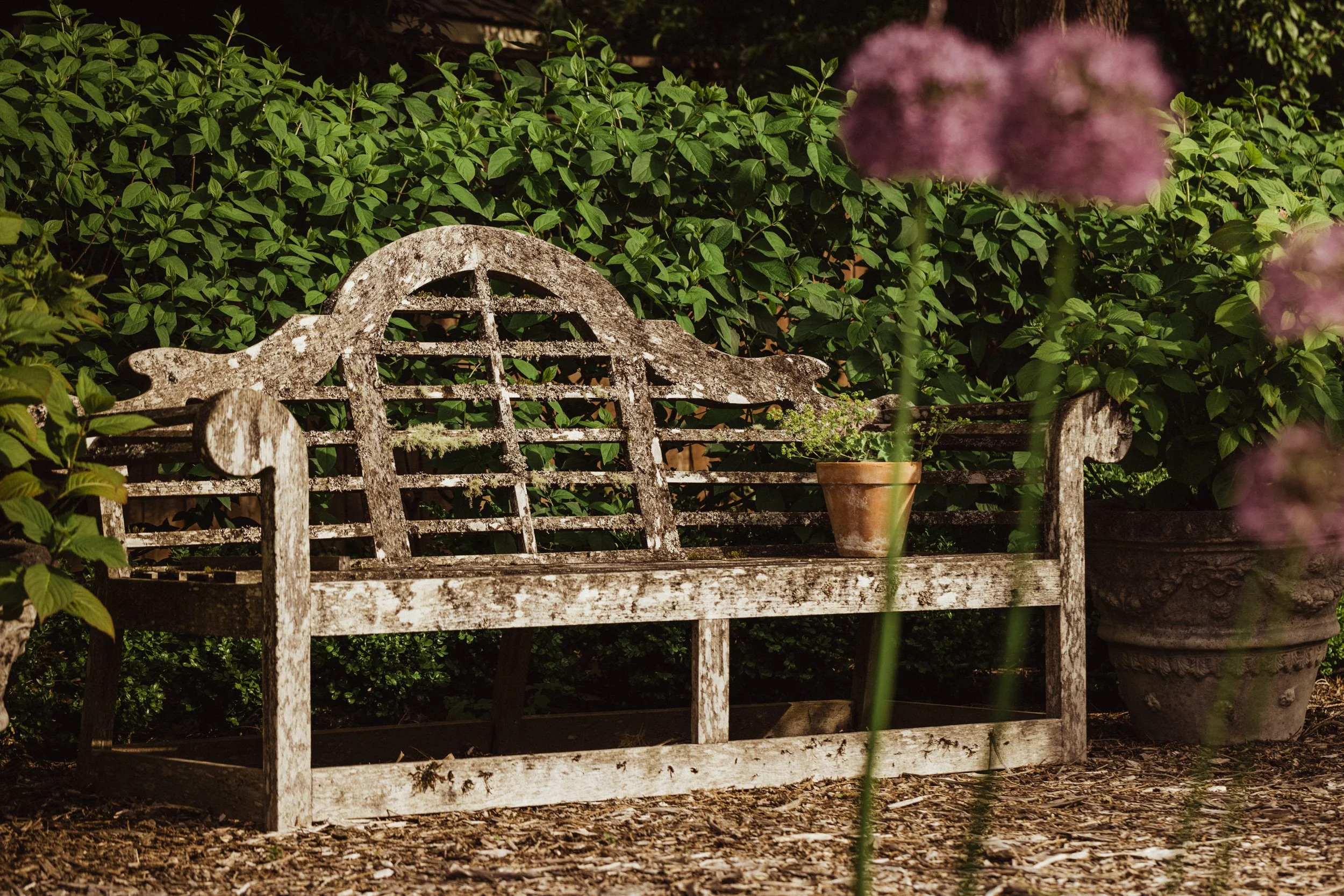 An Heirloom bench that has been in Ashley's family since she was a teenager making a perfect spot to sit, relax and take in the beauty of her garden.