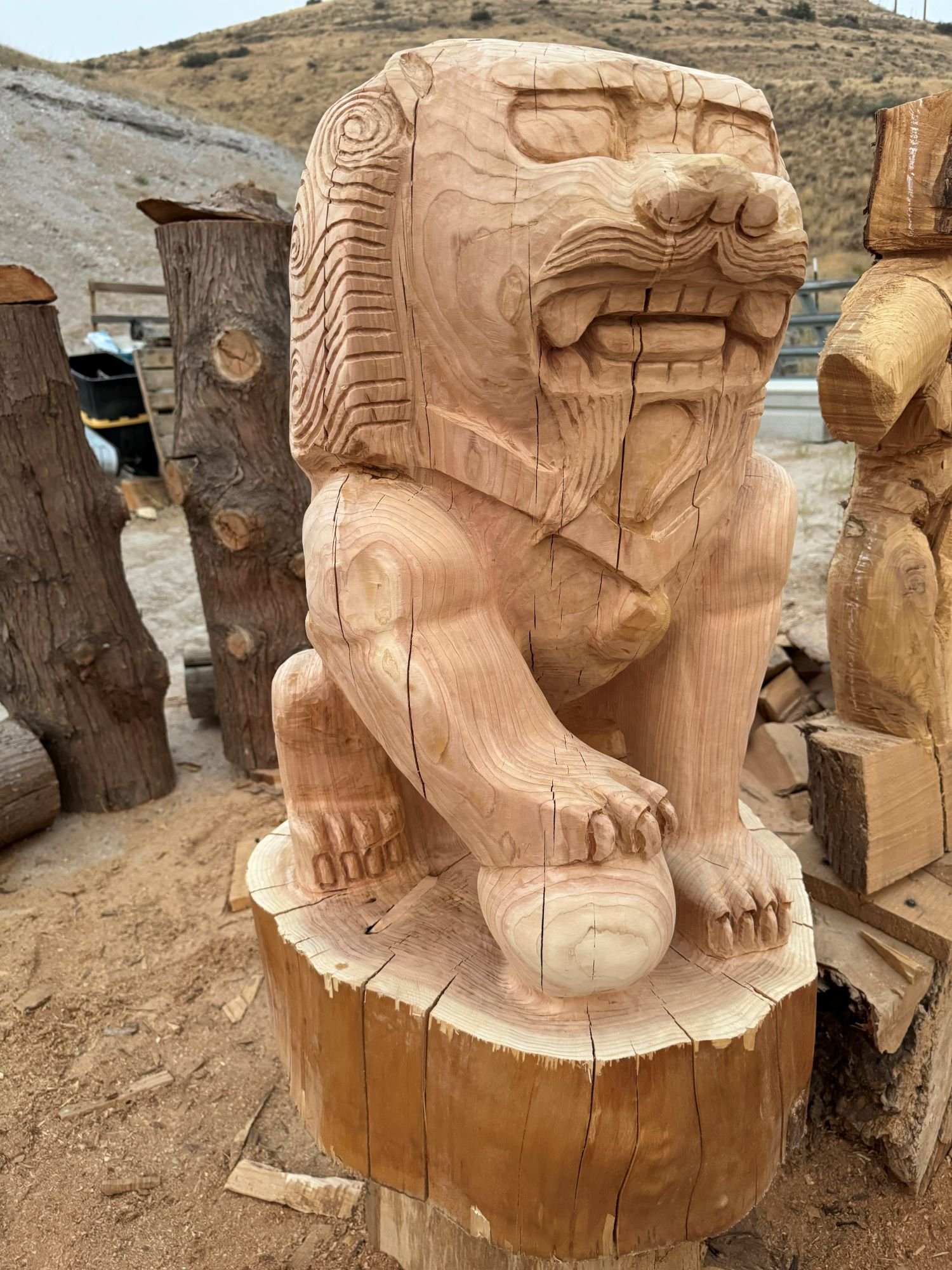 guardianlionmale1-6.jpg