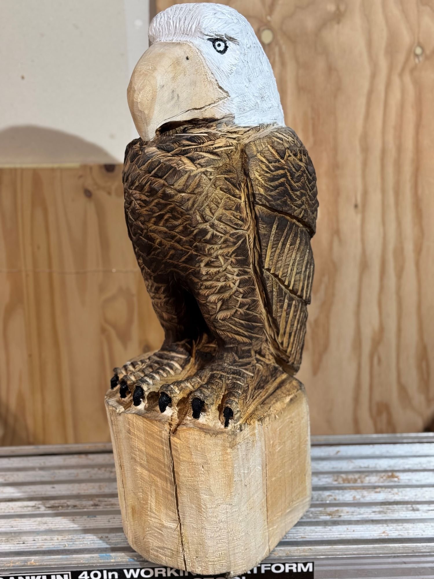 Perched_Eagle1-9.jpg