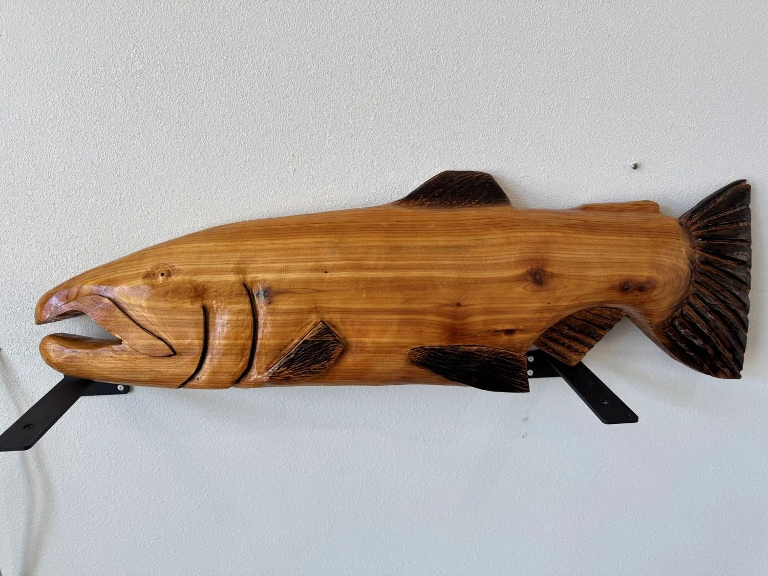 3ft_Chinook_Salmon_wall_hanger5.jpg
