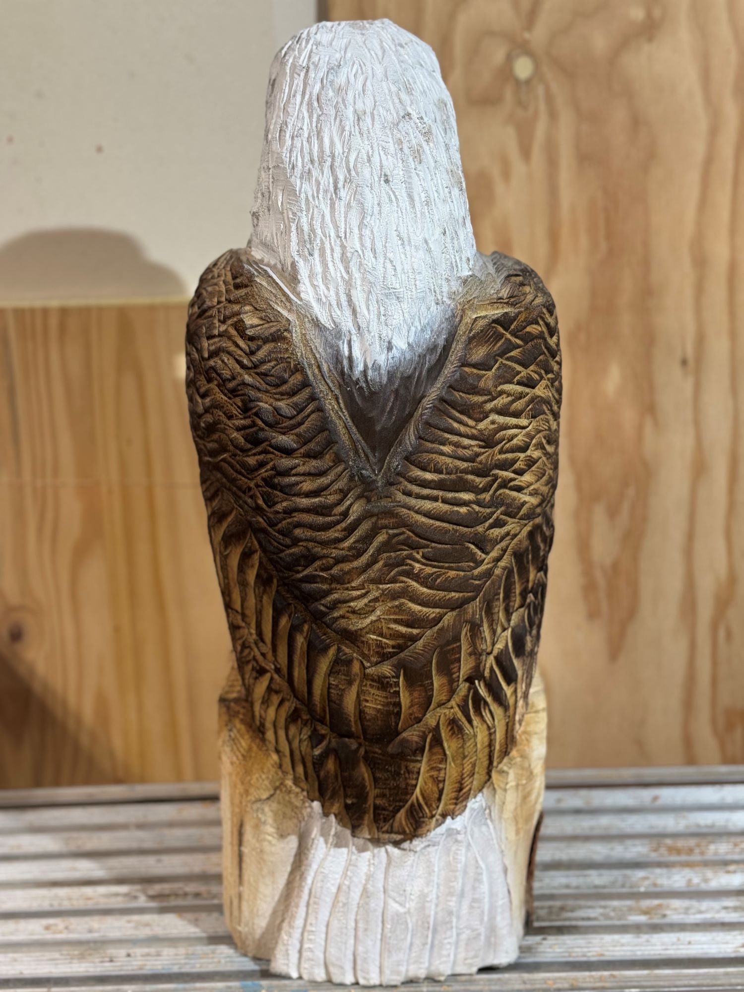 Perched_Eagle1-4.jpg