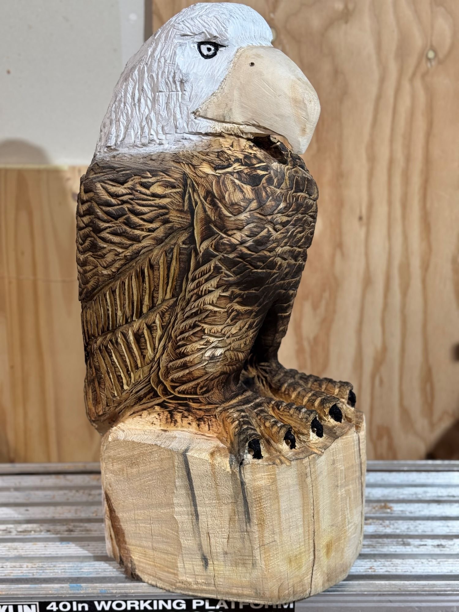 Perched_Eagle1-10.jpg
