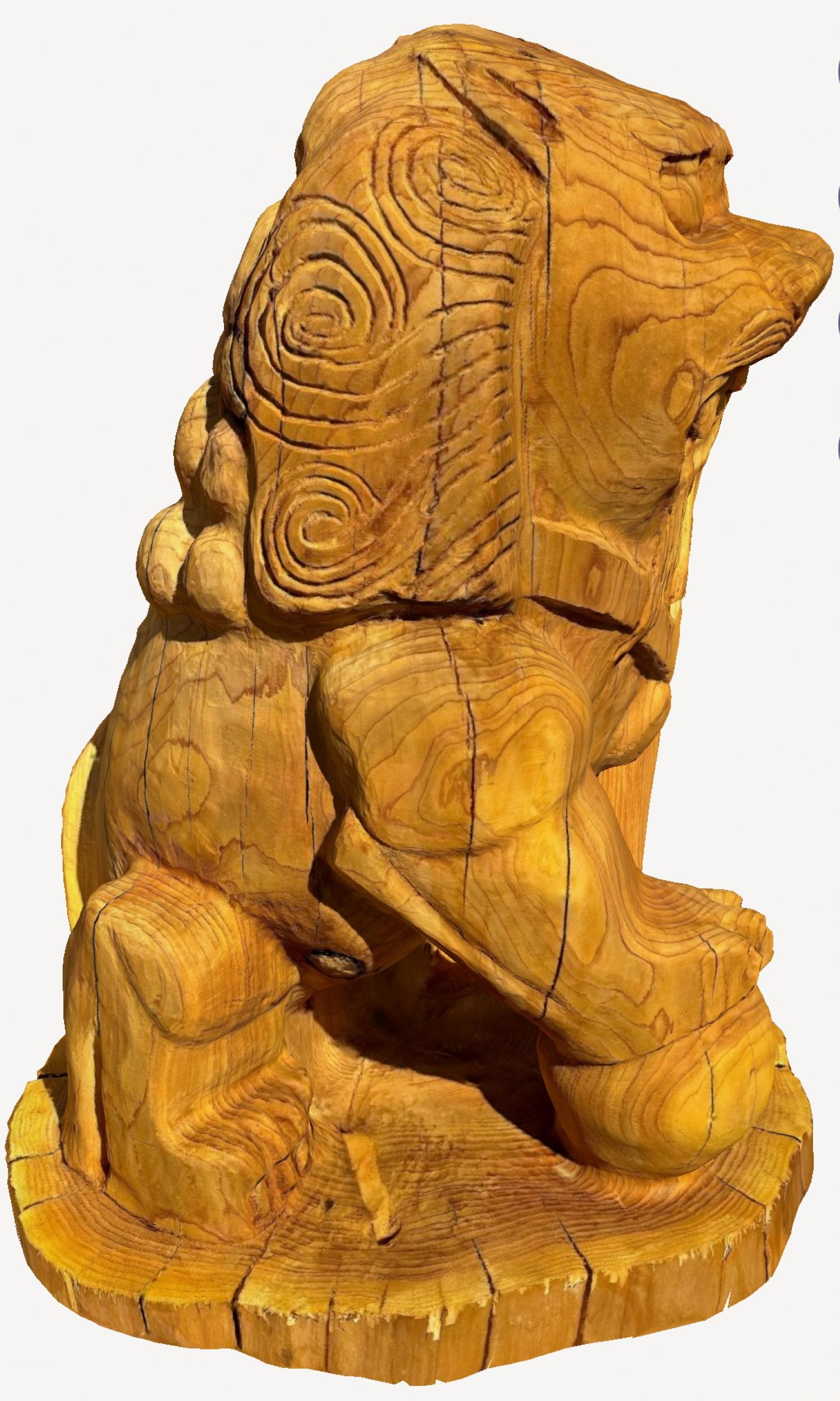 guardianlionmale1-4.jpg