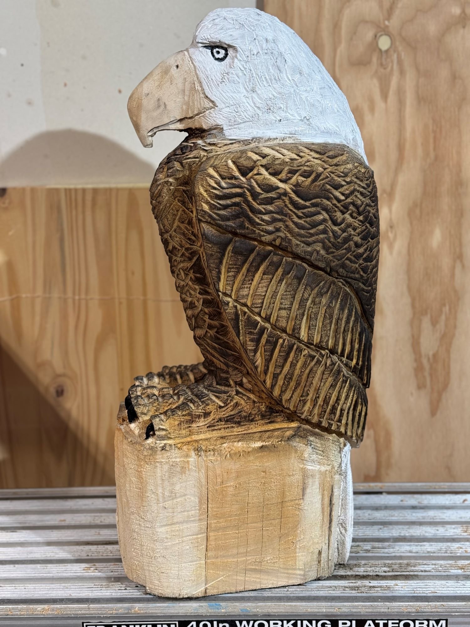 Perched_Eagle1-8.jpg