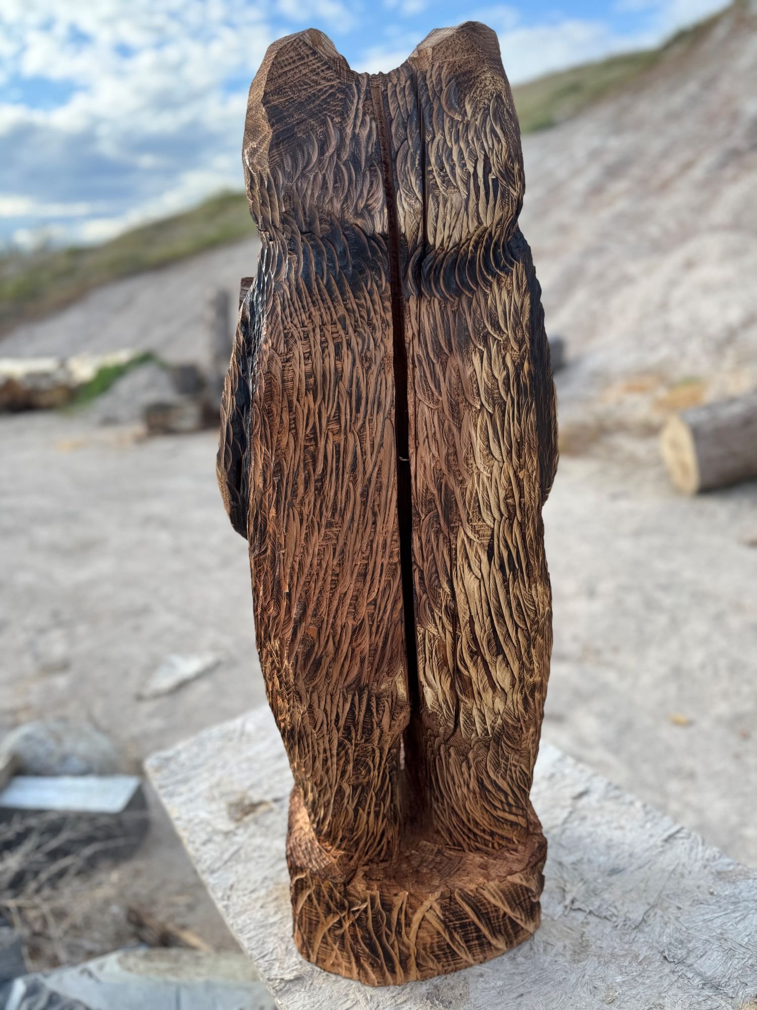 3_foot_bear_holding_welcome_sign_7.jpg