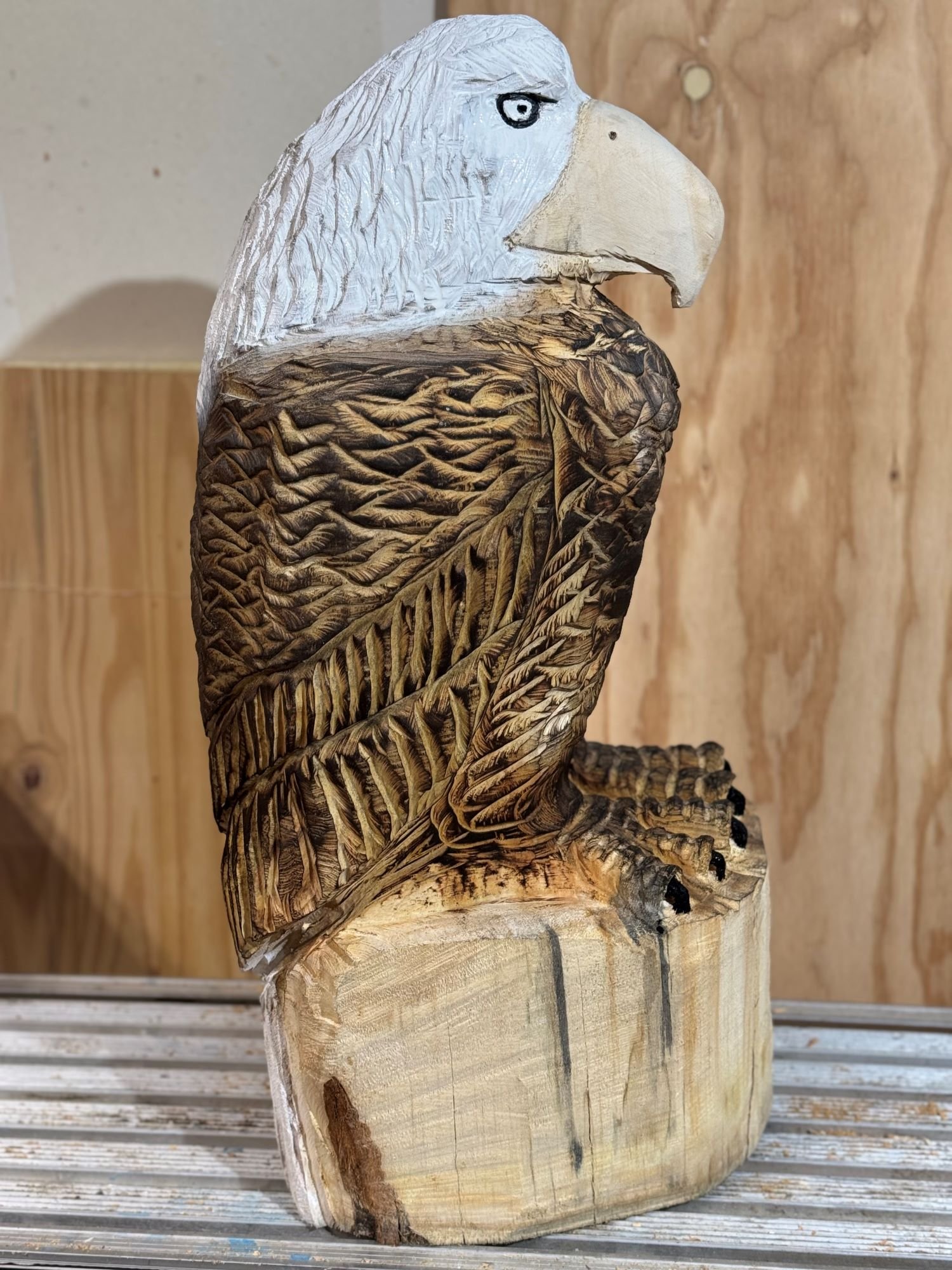 Perched_Eagle1-7.jpg