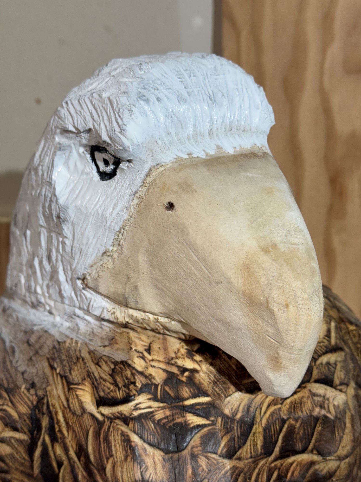 Perched_Eagle1-13.jpg
